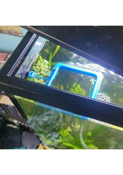 Balık Besleme Yüzüğü Yüzen Gıda Besleyici Daire Vantuz ile Kolay Akvaryum Siyah Kurulumu (Yurt Dışından) modelleri