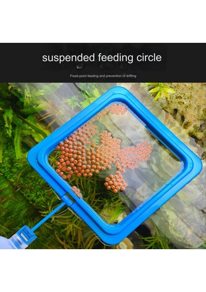 Balık Besleme Yüzüğü Yüzen Gıda Besleyici Daire Vantuz ile Kolay Akvaryum Siyah Kurulumu (Yurt Dışından) indirimleri