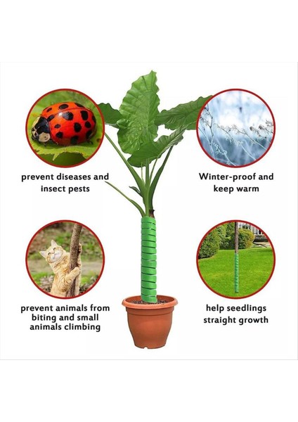 4pcs Ağaç Gövdesi Koruyucusu Plastik Spiraller Ağaç Korumalar Gövde Koruyucu Tüpler Sargılar Geyik Tavşan Kedilerinden Koru (Yurt Dışından) modelleri