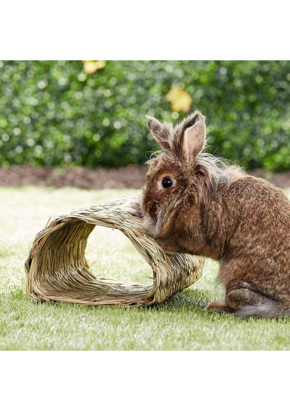 Dokuma Çim Tüneli Eğitim Için Gizli Taban Hamster Kobay Gelincik Cüce Tavşanlar Için Mükemmel (Yurt Dışından) modelleri