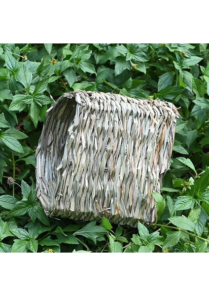 Dokuma Çim Tüneli Eğitim Için Gizli Taban Hamster Kobay Gelincik Cüce Tavşanlar Için Mükemmel (Yurt Dışından) fırsatları