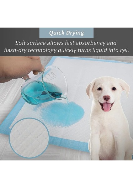 100PCS Süper Emici Evcil Hayvan Bebek Bezi Köpek Eğitim Işemek Pedi Tek Kullanımlık Sağlıklı Bez Mat Kediler Köpek Çocuk Bezi Hızlı Kuruyan Mat S (Yurt Dışından) fiyatları
