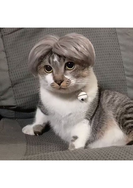 Evcil Hayvan Perukları Rol Yapma Sahne Komik Köpek ve Kedi Çapraz Giyinme Saç Şapkaları Kostümler Kafa Aksesuarları Evcil Hayvan Malzemeleri (Yurt Dışından) fiyatları