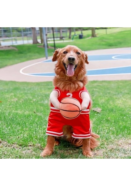 Köpek Basketbol Oyuncu Kostümü Top Köpek Basketbol Kostümü Komik Giydirme Spor Kıyafeti Cadılar Bayramı Cosplay Evcil Hayvanlar (Yurt Dışından) fırsatları