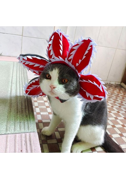 Cadılar Bayramı Evcil Hayvan Şapka Rahat Canlı Hayvan Şapkası Giyim Evcil Hayvan Teması Elbise Headdress Komik M (Yurt Dışından)