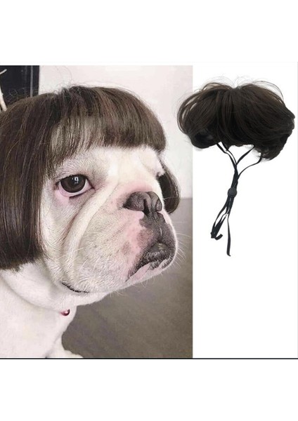 Kafa Çiçeği ile Küçük Orta Büyük Köpek Için Komik Köpek Peruğu Trimabable Evcil Hayvan Kostümü Kedi Cosplay Dekorasyonu (Yurt Dışından) fiyatları