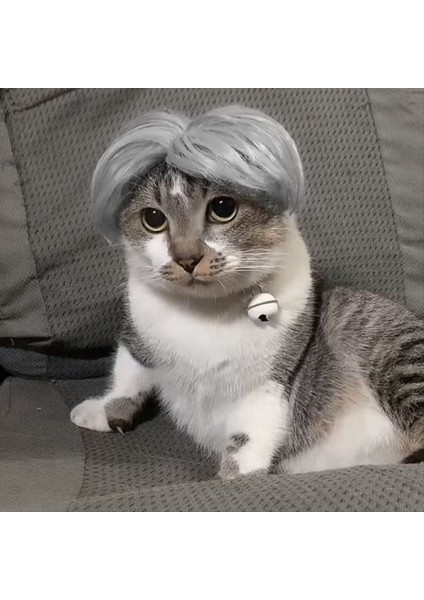 Bir Evcil Hayvan Peruk Cosplay Proplar Komik Köpek Kedileri Çapraz Giyinme Saç Kostümleri Cadılar Bayramı Evcil Hayvan Malzemeleri Için Kafa Aksesuarları (Yurt Dışından) fiyatları