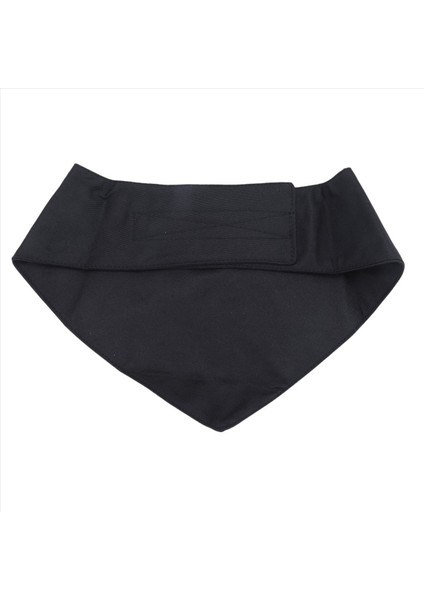 Köpek Smokin Papyon ile Resmi Köpek Düğün Yaka Köpek Doğum Günü Kostümü Evcil Hayvan Partisi Köpek Sevgililer Kıyafeti Cosplay M Siyah (Yurt Dışından) fiyatları