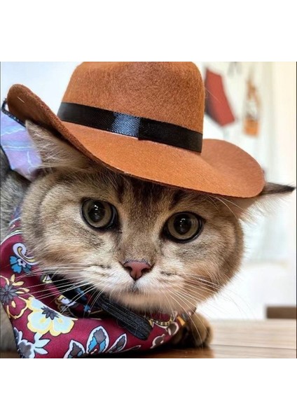 Pet Köpek Kovboy Şapkası Cosplay Cap Puppy Pet Cat Dog Tatil Kostümü Pet Partisi Dekorasyon (Yurt Dışından) fırsatları