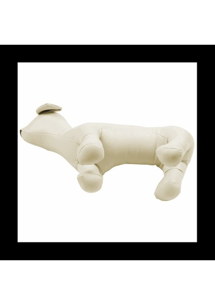 Deri Köpek Mankenler Ayakta Pozisyon Köpek Modelleri Oyuncaklar Evcil Hayvan Dükkanı Ekran Manken Beyaz S (Yurt Dışından) modelleri