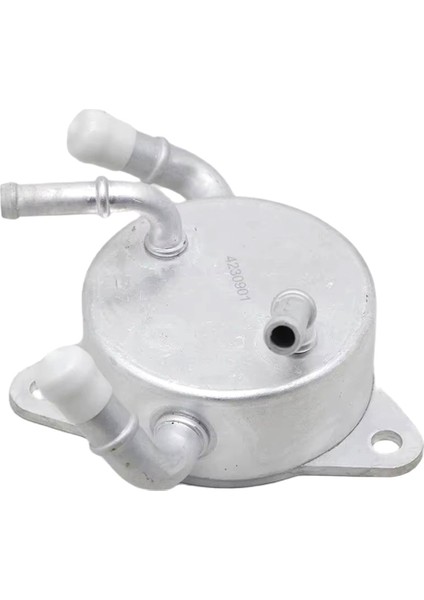 Yeni Yüksek Kaliteli Araba Motor Yağı Soğutucu Yağ Radyatörü 24100-7821 224100-1670 19430-RNA-A51 Honda Civic 1.8 16V Için (Yurt Dışından) fırsatları