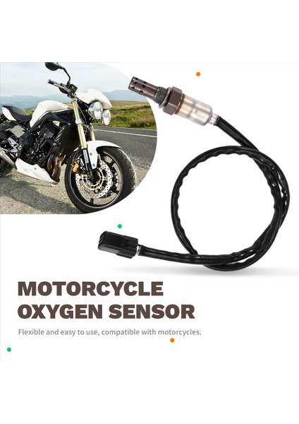 Motosiklet Oksijen Sensörü Lambda Probu O2 Oksijen Sensörü T2204191 Trıumph Sokak Üçlü 2008 (Yurt Dışından) fırsatları