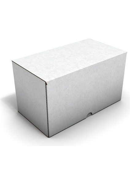 Ondüle 22X12X10,5 cm Testliner E-Ticaret Kargo Gönderi Kutusu fiyatları