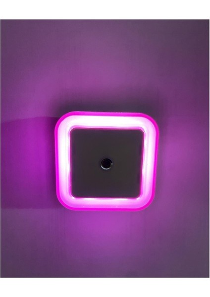 Sensörlü Gece Lambası modelleri