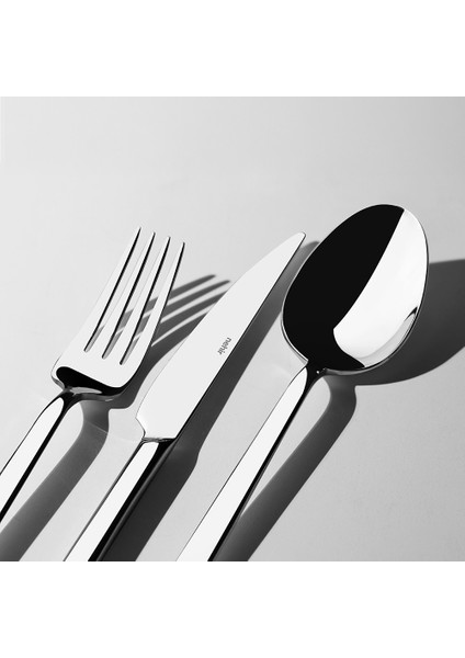 Dalyan Sade 12 Kişilik 89 Parça Kutulu Çatal Kaşık Bıçak Takımı fiyatları