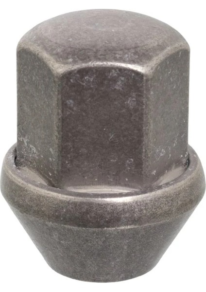 FBI46701 - Bıjon Somunu - Febı