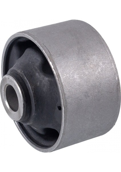 FBI41424 - Salincak Burcu - Febı