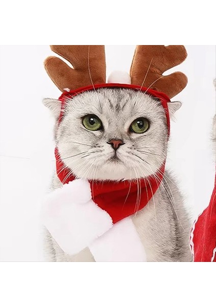 Noel Şapkası Cadılar Bayramı Pet Kostüm Kedi Köpek Yavru Kostümler Eşarp Si Yeni Yıl Santa Kış Cadılar Bayramı Köpek Kedi Tedarik (Yurt Dışından) fırsatları