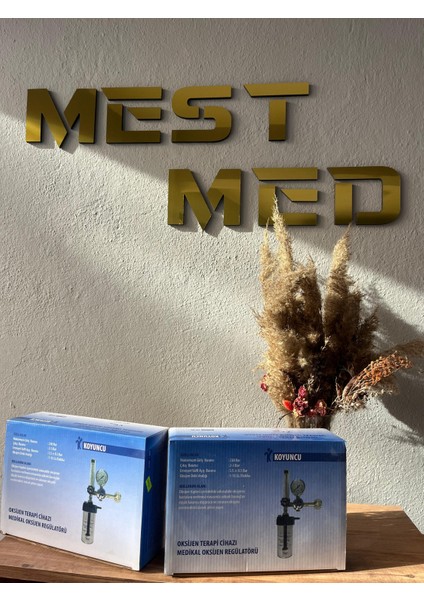 Oksijen Regülatörü fiyatları
