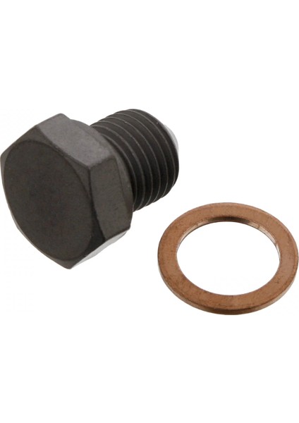 FBI12281 - Karter Tapası - Febı