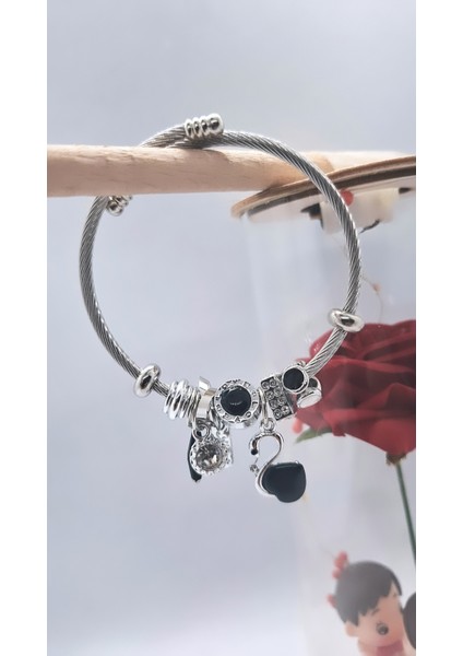 Siyah Kuğulu Charm Çelik Bileklik fırsatları