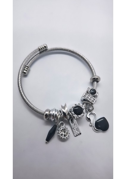 Siyah Kuğulu Charm Çelik Bileklik indirimleri