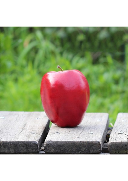 1x Keten Yastık Kılıfı Büyüleyici Güzel Üç Renkli 45 x 45CM ve 12 Adet Meyve Elmaları Yapay Elmalar Hayat Benzeri (Yurt Dışından) indirimleri