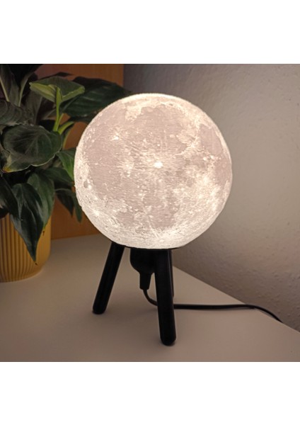 Hibrit Asma/masa Ay Lambası