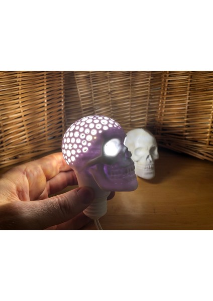 Kafatası Ampulü (Voronoi)