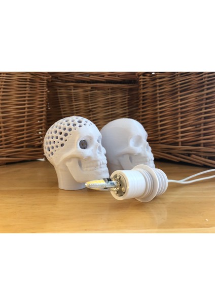 Kafatası Ampulü (Voronoi) fiyatları