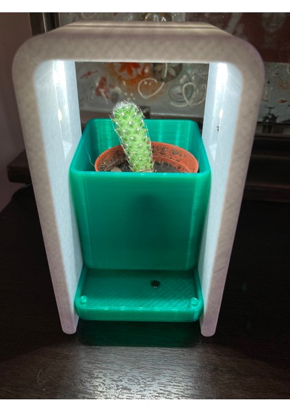 Masaüstü Mini Saksı Lambası modelleri