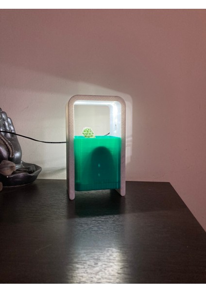 Masaüstü Mini Saksı Lambası fırsatları