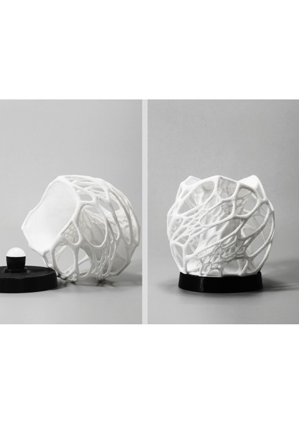 Tabanlı Katı Hücresel Lamba