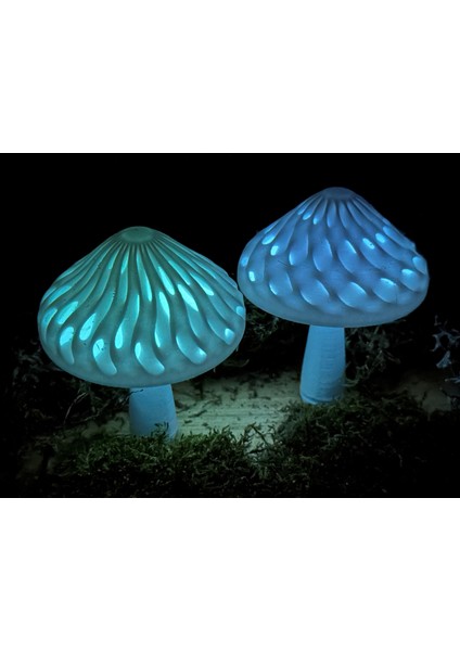 Çift Renkli Modüler Mantar Kapakları (Karanlıkta Parlayan)
