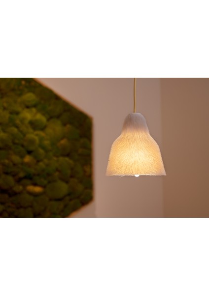 Hairify Lambası Bpozitif fiyatları