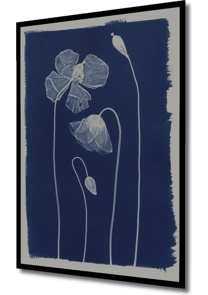 Çerçeve Görünümlü Mavi Gelincik Çiçeği Dekoratif Ahşap Mdf Ev Duvar Tablo Dikdörtgen Ev Duvar Tablo fiyatları