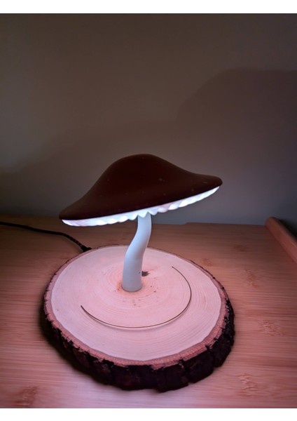 Mantar Lambası fiyatları