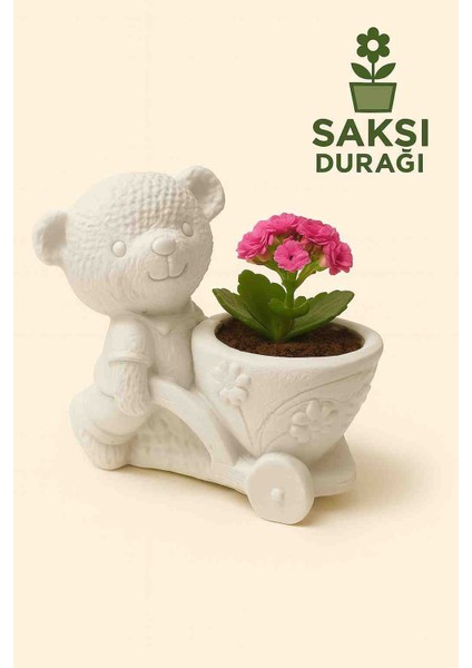 Beyaz Ayıcık Saksı & Biblo
