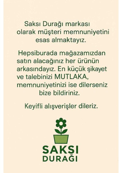 Beyaz Ayıcık Saksı & Biblo fiyatları