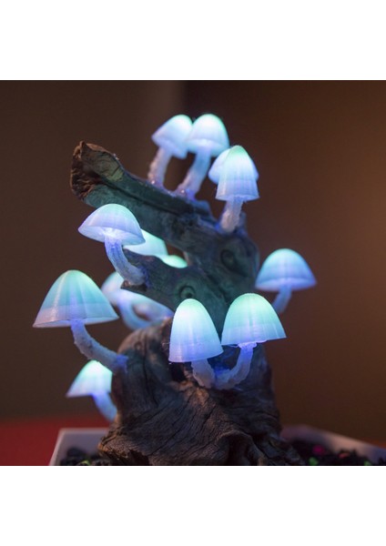 Parlayan Mantar Işığı Için Mantar Kapakları