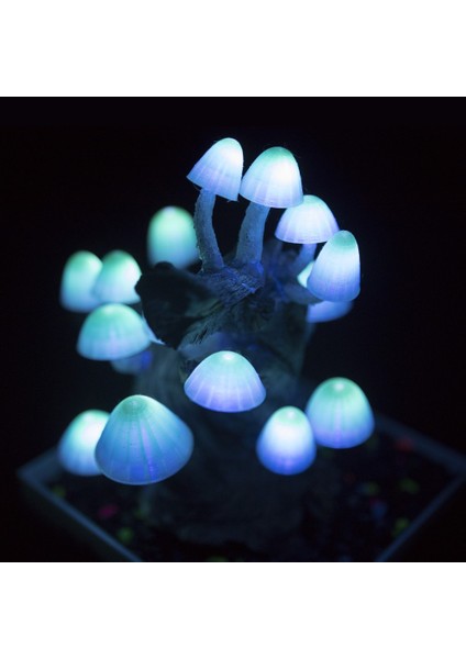 Parlayan Mantar Işığı Için Mantar Kapakları modelleri