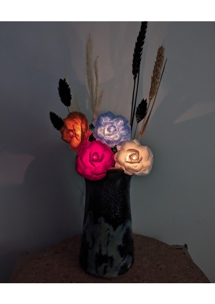 Gül Işıkları - Peri Işık Kapaklarında Klips