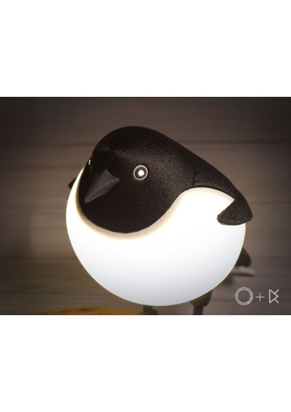 Kabarık Kuşlar - Saksağan Lambası fırsatları