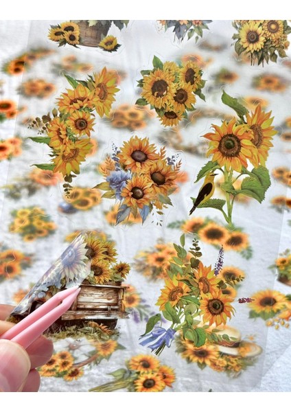 Vintage Ayçiçeği 6 Yaprak Sticker Set/etiket/çıkartma/bullet Journal modelleri