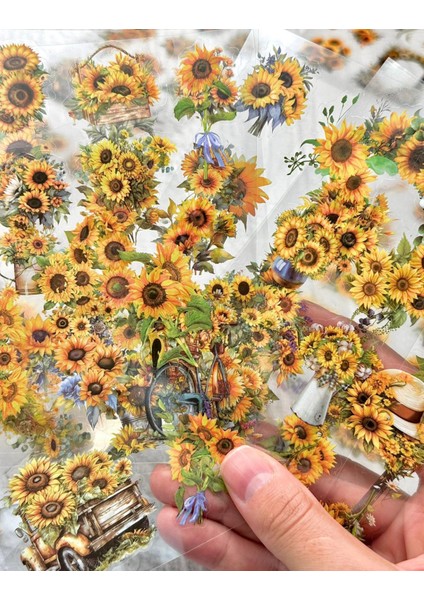 Vintage Ayçiçeği 6 Yaprak Sticker Set/etiket/çıkartma/bullet Journal fırsatları