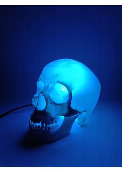 Kafatası Lambası fiyatları