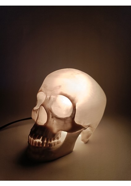 Kafatası Lambası modelleri