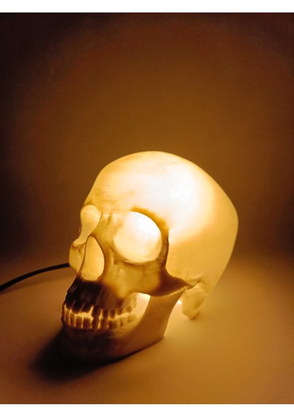 Kafatası Lambası fırsatları