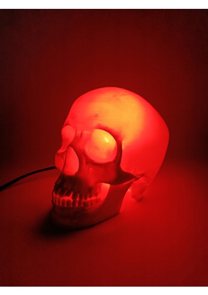 Kafatası Lambası indirimleri