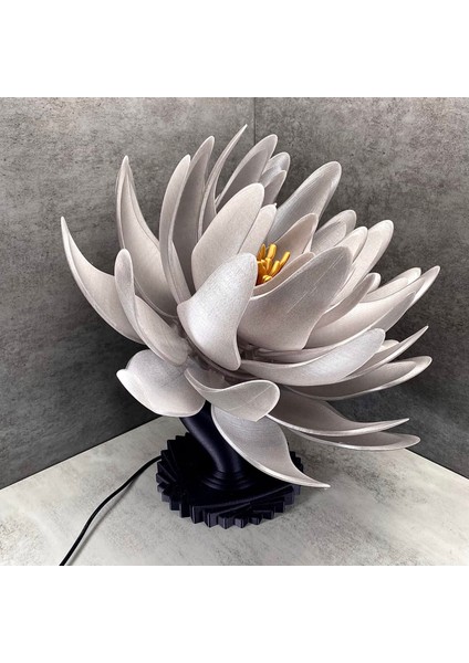 Büyük Lotus Lambası modelleri